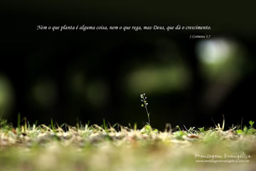 I Cor�ntios 3:7