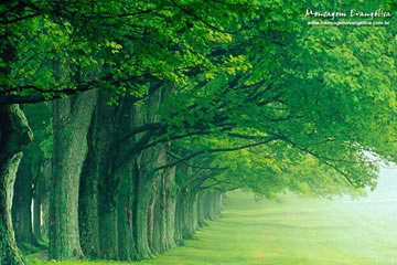 Paisagem