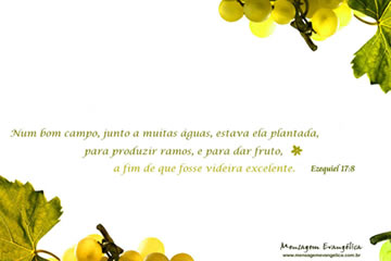Ezequiel 17:8